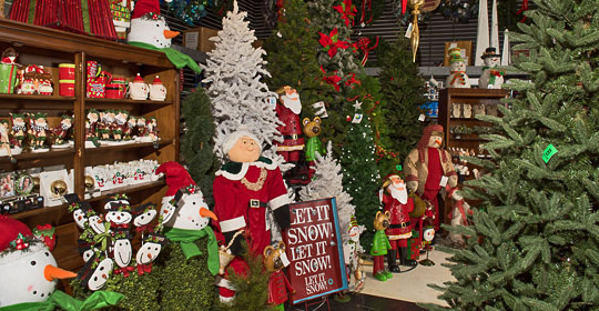 Store Photo - Christmas